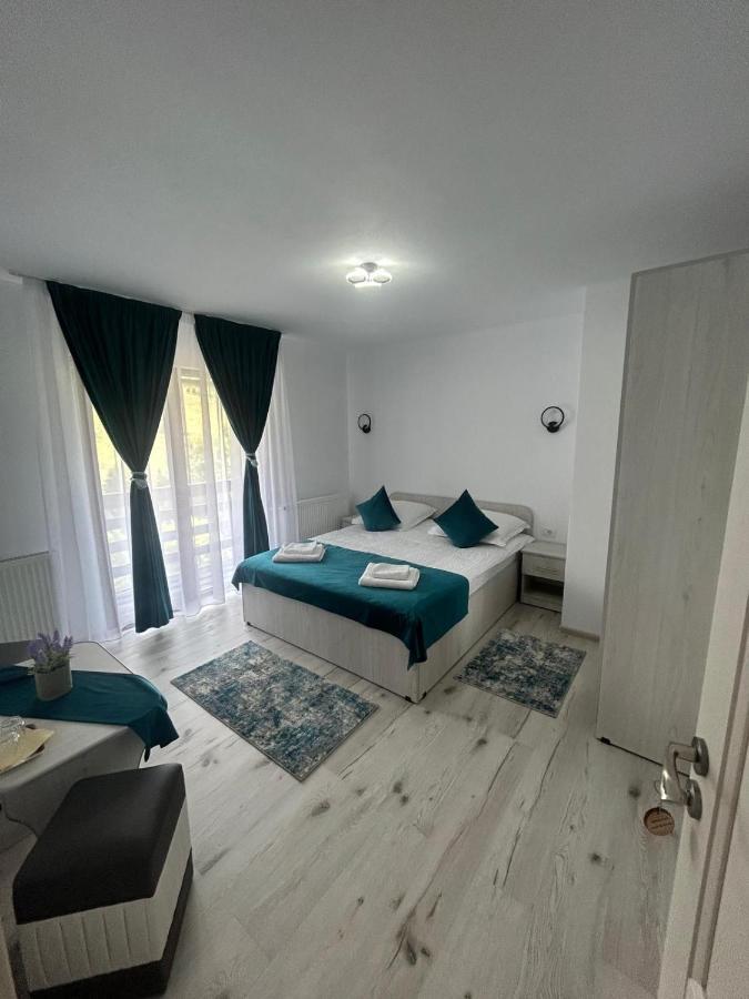 Hotel Casa Dani&Moni à Moeciu De Sus Extérieur photo